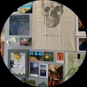 Meet your Posher, Lily